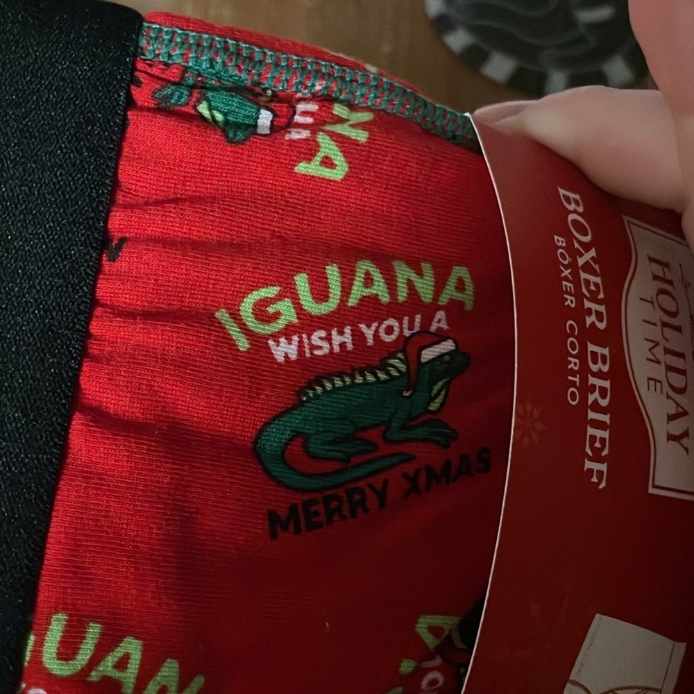 Iguana boxer briefs